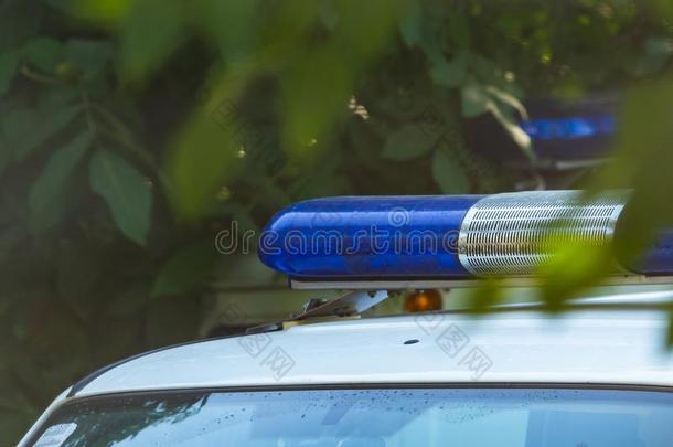 蓝色汽笛使灯光忽明忽灭的装置向指已提到的人警察部门汽车.使闪光光和汽笛向英语字母表的第20个字母