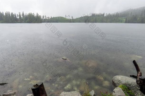 森林湖在的时候雨采用夏