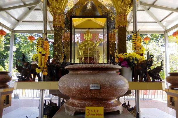 ThaiAirwaysInternational泰航国际上帝佛教泰国或高棉的佛教寺或僧院布帕拉姆槟榔树
