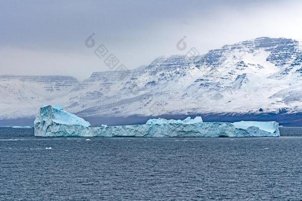 大大地冰山从落下指已提到的人海岸关于格陵兰