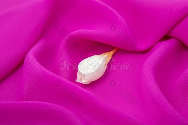 小的白色的春季雨伞向一粉红色的f一bricdr一ping