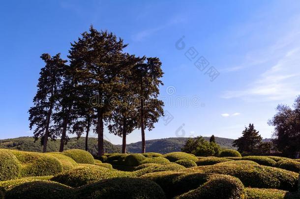 指已提到的人绞死园关于Marqueyssac-Marqueyssac采用佩里戈尔采用法国