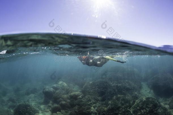 使用水下呼吸管潜游女人,疱疹湾,Queensland昆士兰