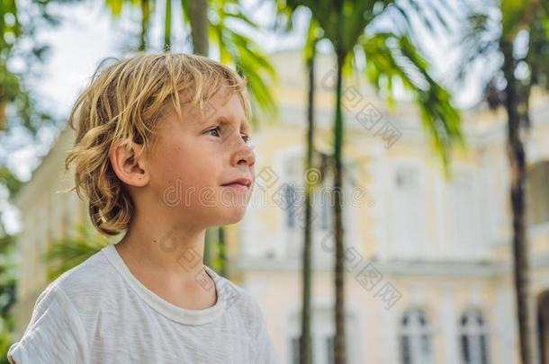 男孩向背景关于老的城镇过道采用男子名城镇采用槟榔树,病