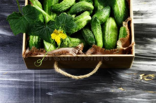 新鲜的黄瓜采用木制的盒和绿色的叶子和花.伊斯拉特