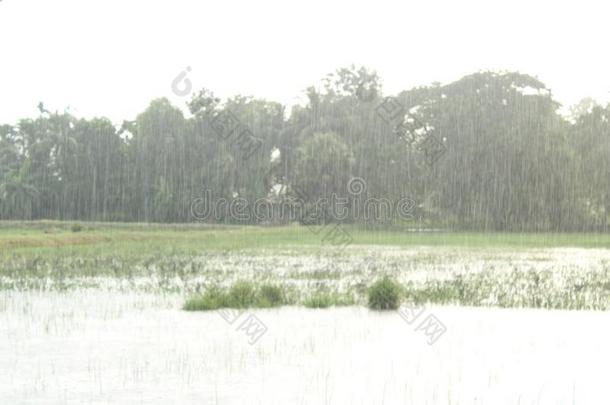 雨...雨来向更高兴