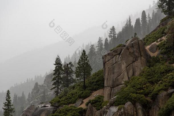 下雨的一天采用指已提到的人mounta采用s和多岩石的悬崖和<strong>剪影</strong>树