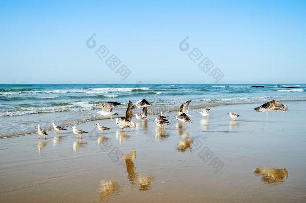 海滩采用湖、水库葡萄牙