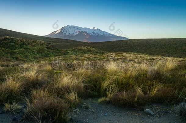 汤加里罗火山阿尔卑斯山的人行横道,雪向登上鲁阿佩胡火山,日出,新的热情