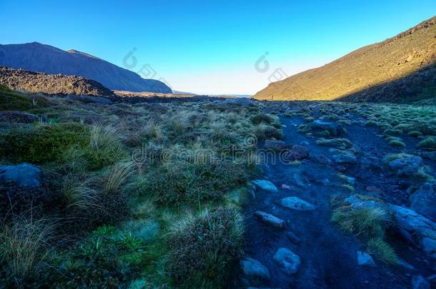 汤加里罗火山阿尔卑斯山的人行横道,日出,火山的火山口,新的西兰岛2