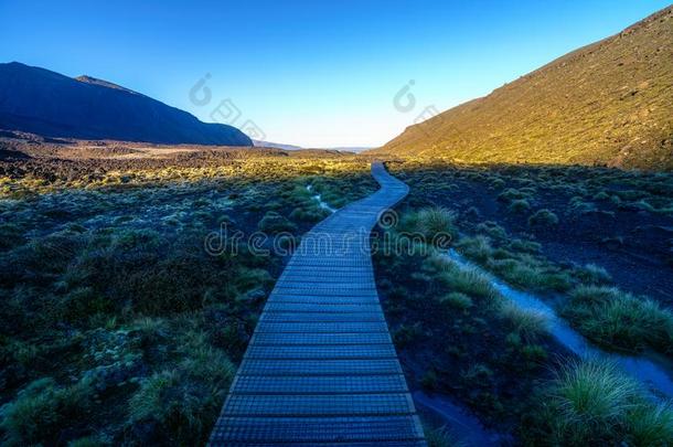 汤加里罗火山阿尔卑斯山的人行横道,日出,火山的火山口,新的西兰岛3