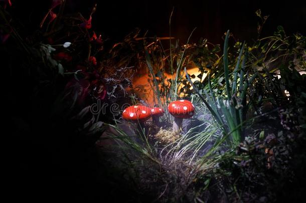 蘑菇.幻想灼热的蘑菇s采用秘密黑暗的森林关