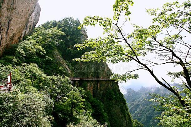 老君山采用洛阳