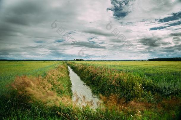 乡村风景和改善的运<strong>河沟</strong>渠采用绿色的agriculture农业