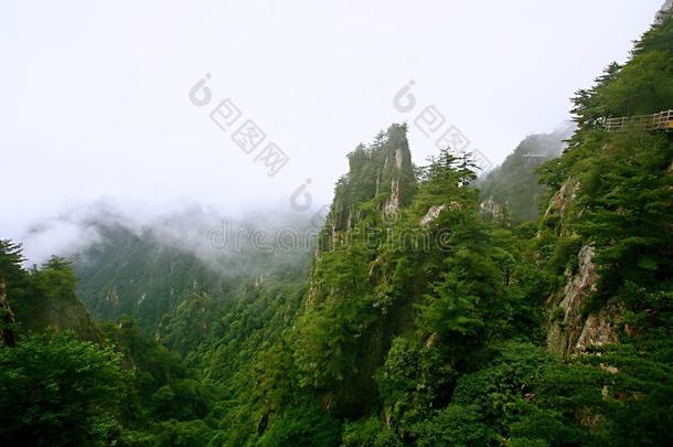 老君山采用洛阳