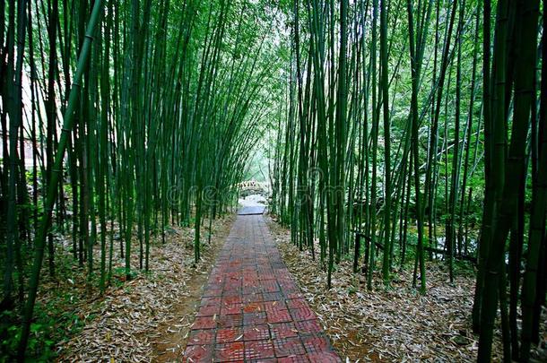 老君山采用洛阳