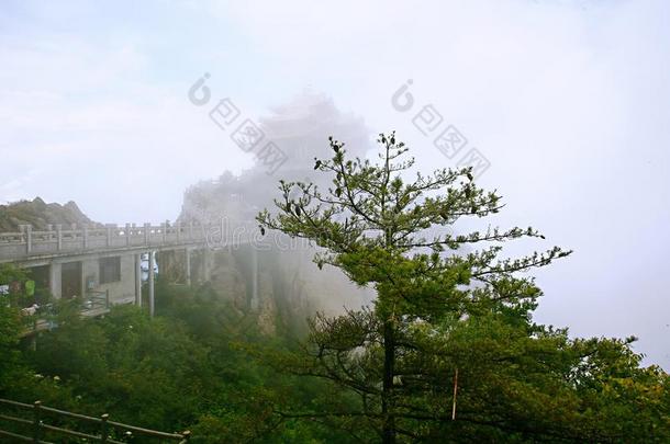 老君山采用洛阳