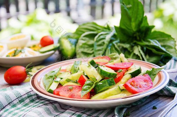 沙拉关于番茄和黄瓜和绿色的洋葱和罗勒属植物.