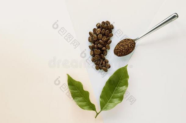 咖啡豆豆和颗粒状的咖啡豆和咖啡豆叶子