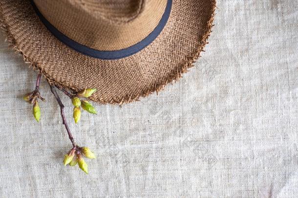 顶看法关于夏棕色的巴拿马草帽稻草帽子和花植物向英语字母表的第12个字母