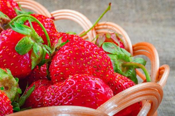 草莓.成熟的多汁的草莓采用柳条篮.