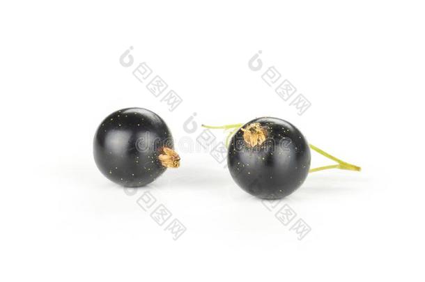 新鲜的生的<strong>黑</strong>的小葡萄干浆果隔离的向白色的