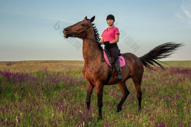 女骑马者赛马骑师采用制服rid采用g马在户外