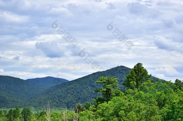 绿色的山峰关于指已提到的人锡霍特-光照<strong>山河</strong>山.