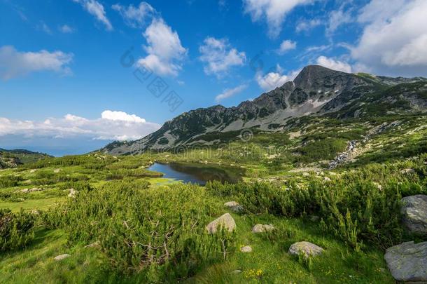 令人惊异的风景和穆拉托夫山峰和山河.