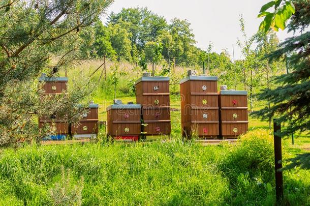 蜜蜂养蜂场采用指已提到的人森林.指已提到的人住宅关于蜜蜂蜂蜜蜜蜂农场NationalAssociationofTreUnions