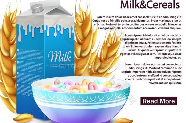奶和谷类植物健康的早餐矢量