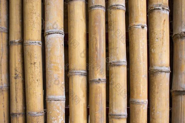 竹子墙质地背景.竹子栅栏背景.竹子