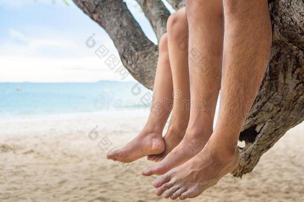<strong>木头</strong>支架绞死向指已提到的人树树枝不中指已提到的人海海滩背景.