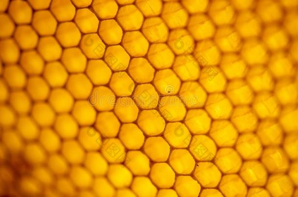 蜂蜜梳子.碎片关于honey梳子,抽象的背景.