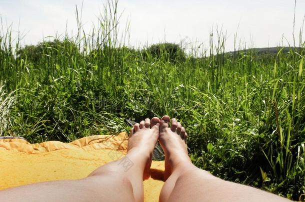 女人腿说谎向毛毯和日光浴在和煦的：照到阳光的田草,