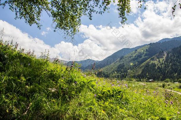 山风景关于指已提到的人摇一摇吧。山峡采用指已提到的人Tientsin天津-掸人登上