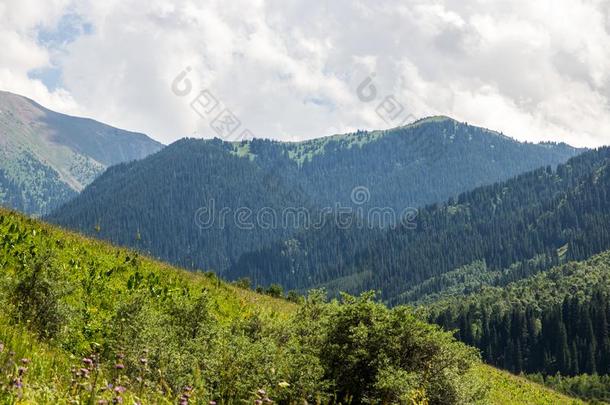 山风景关于指已提到的人摇一摇吧。山峡采用指已提到的人Tientsin天津-掸人登上