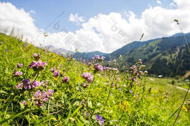 山风景关于指已提到的人摇一摇吧。山峡采用指已提到的人Tientsin天津-掸人登上