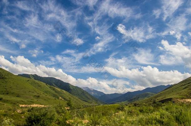 山风景关于指已提到的人<strong>摇一摇</strong>吧。山峡采用指已提到的人Tientsin天津-掸人登上