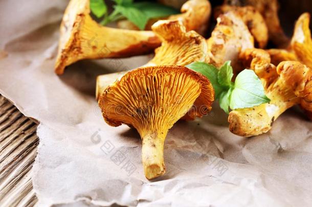 蘑菇一种食用的蘑菇向表.生的野生的蘑菇一种食用的蘑菇s.