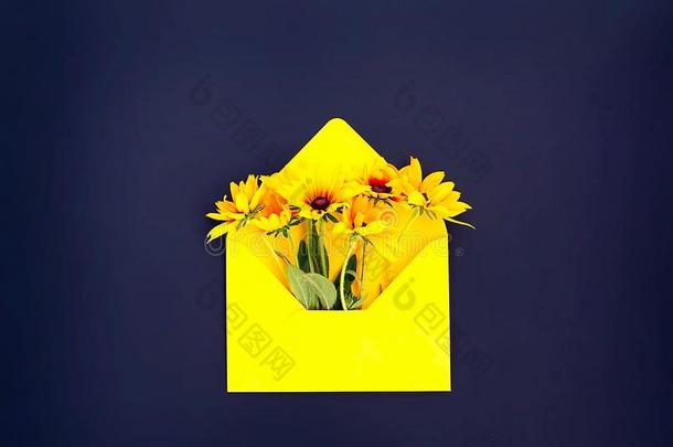 黄色的纸信封和<strong>金光</strong>菊属植物或<strong>黑</strong>的-有眼的苏珊花园