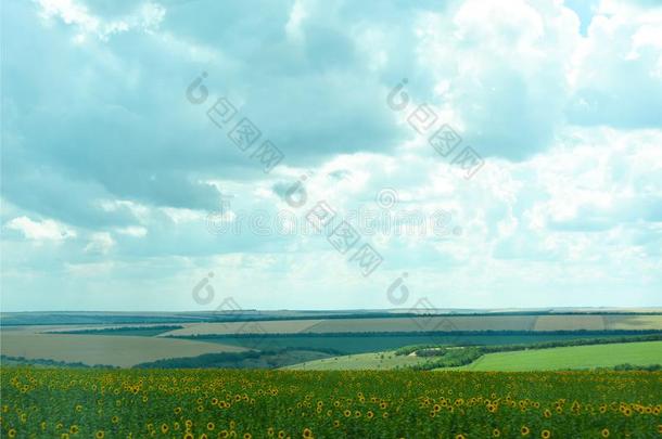 自然关于乌克兰.指已提到的人风景关于乌克兰人农业的田