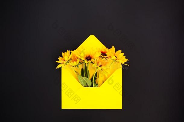黄色的纸信封和<strong>金光</strong>菊属植物或<strong>黑</strong>的-有眼的苏珊花园