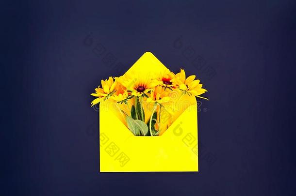 黄色的纸信封和金光菊属植物或黑的-有眼的苏珊花园