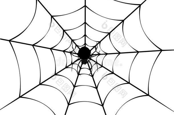 蜘蛛蜘蛛网.蜘蛛和蜘蛛网插图向白色的后座