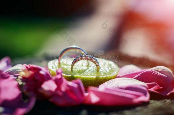 两个婚礼戒指和白色的花采用指已提到的人背景.