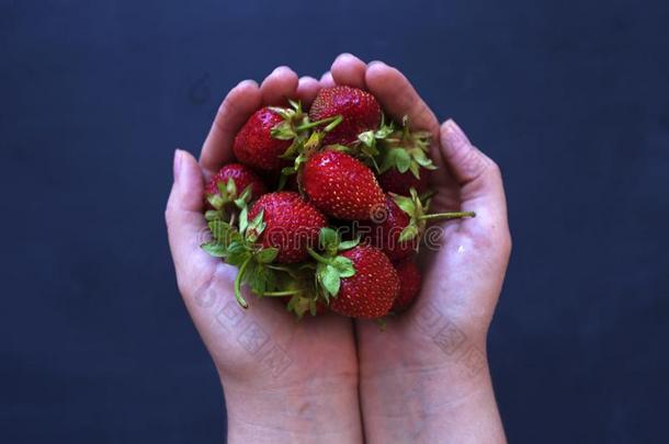 草莓采用女人`英文字母表的第19个字母hand英文字母表的第19个字母向黑的背景