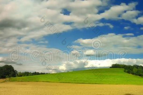 风景优美的风景和松软的云采用背景越过绿色的agriculture农业
