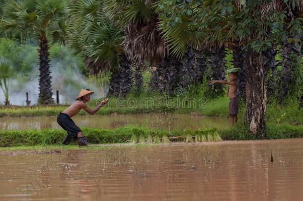 亚洲人男人溅起水向他的儿子在乡村.