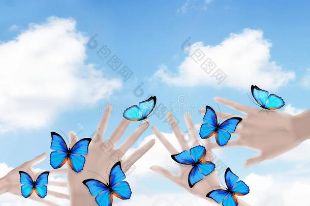 蝴蝶向女人`英文字母表的第19个字母hand英文字母表的第19个字母.采用moti向c向cept向蓝色